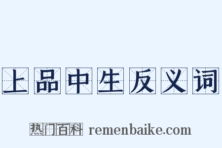 上品中生反义词是什么意思的图片